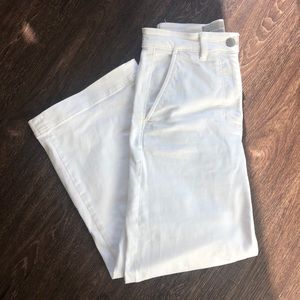 Everlane Wide Leg Crop Pant